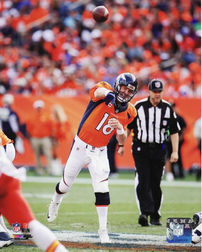 Peyton Manning Denver Broncos NFL 2014 8x10 Photo Print | eBay