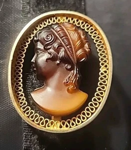 Beautiful Cameo Vintage Tortoise & Gold Tone Lapel Pin Brooch 1.5 Inch - Picture 1 of 12