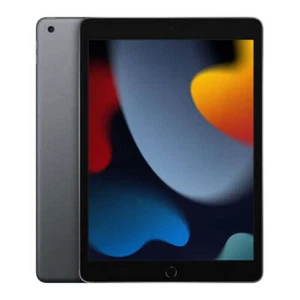 Apple 10.2” iPad (2021) Wi-Fi - 256GB - Space Grey - Good - Picture 1 of 4