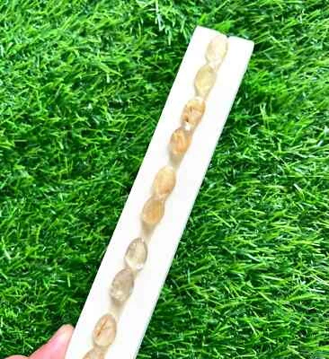 Natural Golden Rutilated Quartz 10x14MM Oval Rose Cut 5Pcs Loose Gemstone Lot. - Image 1 of 4