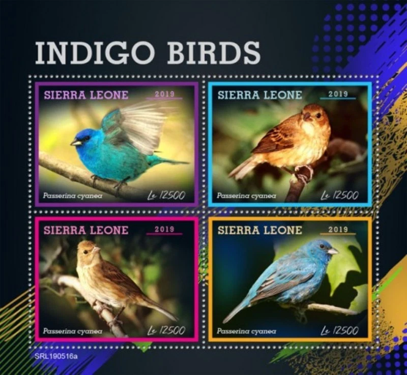 Sierra Leone - 2019 Indigo Birds on Stamps - 4 Stamp Sheet - SRL190516a - Image 1 of 1