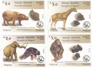 Nepal 2013 Fossilien Elefant Affe Girraffe Nashorn komplett neuwertig Briefmarkenset - Bild 1 von 1