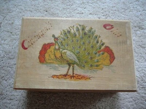 CINCINNATI OHIO OH Vintage COLOR PEACOCK TRINKET BOX - WOOD BURNING PYROGRAPHY - Picture 1 of 4