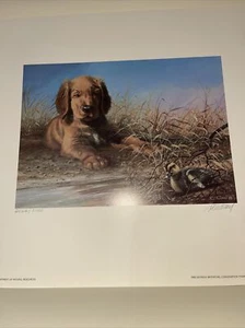 Georgia 1989 Ente Wasservogel Konservierung Stempeldruck mit Stempel - Bild 1 von 6