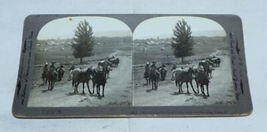 NACHES CITY Washington | *Starting for Goat Peaks* Original Stereoview Photo - Picture 1 of 2