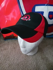 Earnhardt Ganassi Racing Target 42 Team Issued Hat Montoya Larson Mears NASCAR - Picture 1 of 6
