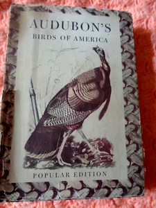 1950 Antique Nature Book "Audubon's Birds of America" Cover torn book is good - Picture 1 of 4