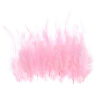 100Pcs 3-6 Inch Saddle Hackle Rooster Feather Bulk Natural Feathers Light Pink