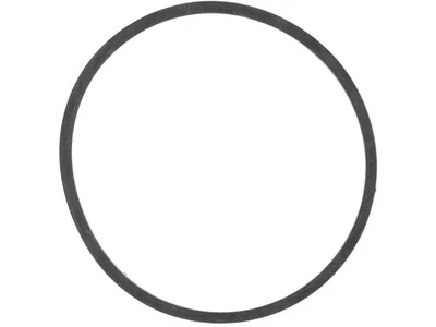 Junta tórica termostato para Ford F250 Super Duty 1999-2003 75752QGFP 2001 2000 2002 Foto 1 de 2