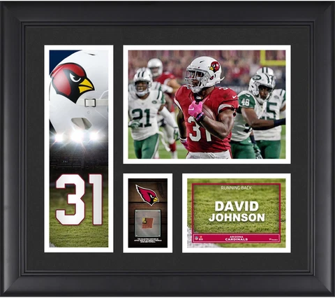 David Johnson Cardinals Framed 15x17 Collage & Piece of GU Football Cover