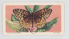 1965 Brooke Bond Red Rose Butterflies of North America Tea Aphrodite #7 0a3