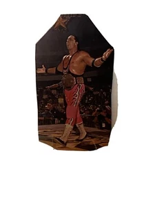 Bret Hart WCW champion pin up picture WCW Starrcade 1999 Vintage 90s Rare - Picture 1 of 3