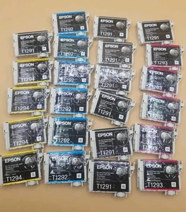 Quantity Used Empty Epson Ink Cartridges - T1291, T1292, T1293, T1294 - Photo 1/5