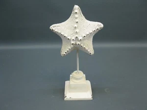 Dekoration Dekofigur Seestern auf Standfuß 32 cm Statue nautische Deko - Bild 1 von 4