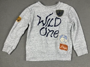 Gymboree Wild One Sweater Pullover Patch Camping Jeep Bear Heather Gray XS 4 4T - Picture 1 of 11