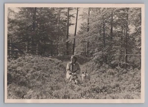 Mujer con perro en claro en el bosque - foto antigua años 50 - Imagen 1 de 2