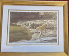 Stephen Gayford Limited Edition Print Signed Leopards Lair 164/395