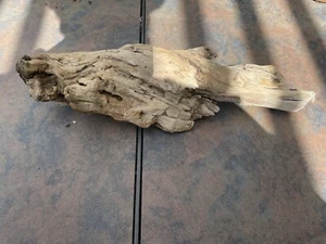 Natural Driftwood for Plants Terrarium Taxidermy Art Projects - Picture 1 of 5