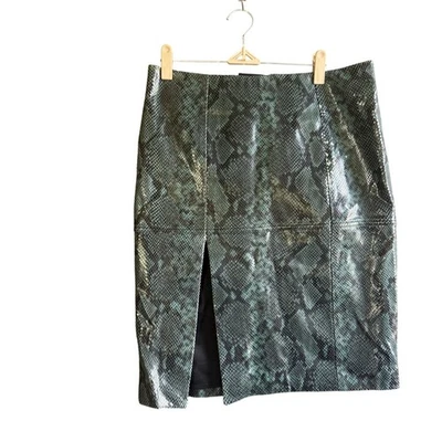 Dorothee Schumacher Serpiente Cuero Genuino Falda Recta y Lápiz 2 Verde Foto 1 de 4