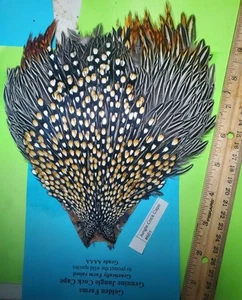 Jungle Cock Cape SUPER Grade AAAA 601 - Picture 1 of 3