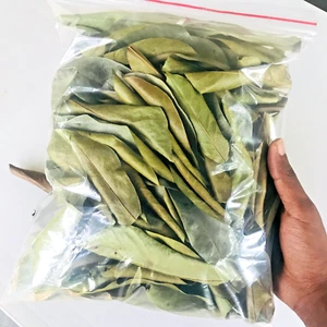 Dried Soursop leaves - 100% Pure Organic Graviola Leaf Tea from Sri Lanka - Picture 1 of 14