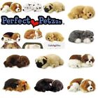 Perfect Petzzz Cani e Gatti che Respirano 40 razze disponibili