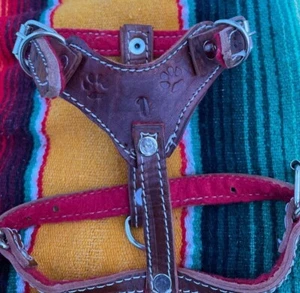 Brown Small Genuine Leather Dog Harness  - Picture 1 of 6