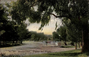 Montevideo Uruguay Postcard 1910 Paseo del Prado Editor Carluccio Expired Franked - Picture 1 of 2