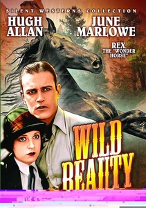 Wild Beauty Silent (DVD) Rex Hugh Allan June Marlowe Hayes E. Robertson - Picture 1 of 2