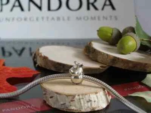 Original Pandora Rino el Rinoceronte 798023 plata de ley 925 - Imagen 1 de 3