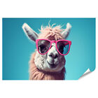 islandburner Premium Poster Lama Brille Lustiges Tier Bilder