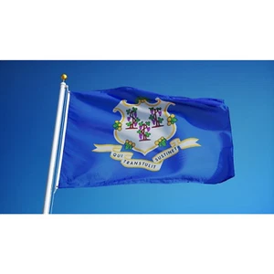 BANDIERA DI STATO CONNECTICUT nuova taglia superiore 2x3 piedi bandiera resistenza sbiadimento venditore statunitense - Foto 1 di 3