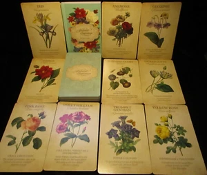 SEALED NEW! VICTORIAN BOTANICAL INSPIRATIONS CARDS & BOOK ORACLE & ORGANZA BAG - Imagen 1 de 12