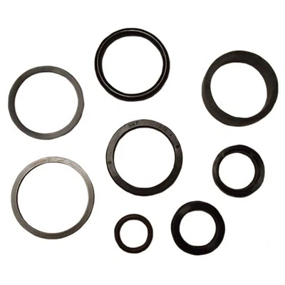 D148100 D83184 Steering Cylinder Packing Kit Fits Case/International Tractor - Image 1 of 4