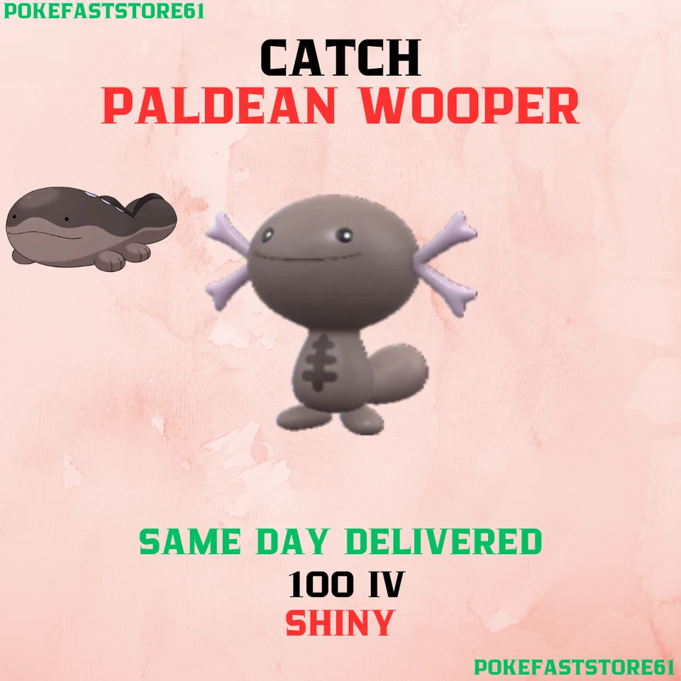 Paldean Wooper Catch Pokemon Go✨100 iv Catch✨Great-Ultra Rank 1✨XL Candy Farm✨ - Image 1 of 1