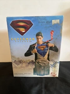 DC Direct Superman Returns Clark Kent Bust Sculpted By Gentle Giants Studio - Picture 1 of 20