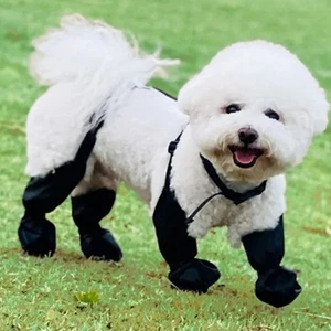 Anti Slip Protective Dog Shoes Breathable Rain Boots Reflective Shoes Foot Cover - Picture 1 of 15