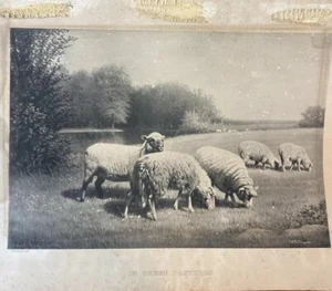 c1900 Print S.S. Carr copyright by the Taber&Prang Art Co. - Picture 1 of 16