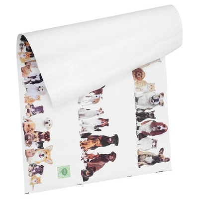  Adesivo murale cartone animato Adorabile soggiorno Sfondo Pasta Decor Adesivi - Image 1 of 4