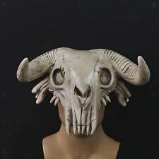 Halloween Skull Cosplay Mask  Scary Mask for Festival Nightclub