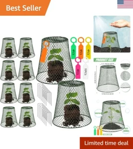 All-Season 10 Green Chicken Wire Plant Covers - 9in Cloche Set for Gardens - Picture 1 of 9