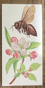 Vintage - 1962 - Gelles Widmer - Insect CARD - Honeybee - Picture 1 of 2