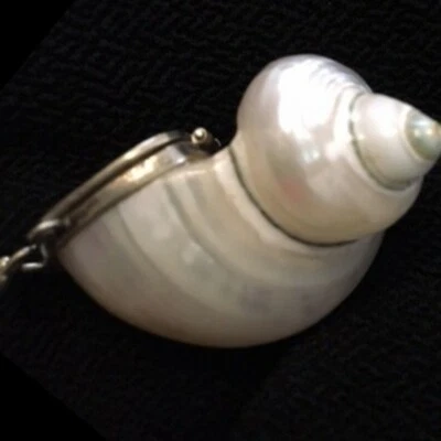 Colgante cápsula/compartimiento de plata y concha vintage hecho a mano  Foto 1 de 4