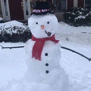 Build a Snowman Kit, 9pc, Felt Hat, Scarf, Eyes, Carrot Nose, Pipe, Buttons, NEW - Picture 1 of 3