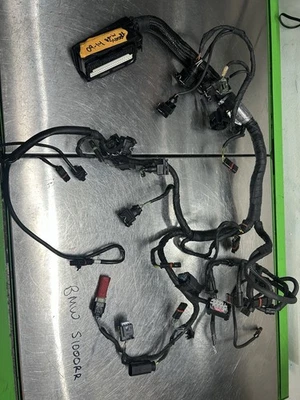 09-14 2009-2014 BMW S1000RR MOTOR CABLEADO SUB ARNÉS OEM CORTE DAÑADO Foto 1 de 4