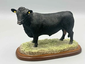 Border Fine Arts Studio Rinder Aberdeen Angus Kuh Figur. - Bild 1 von 3