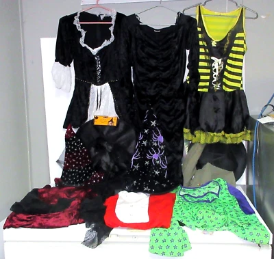 Ladies Halloween Costumes Lot / Pirate, Hippie, Witch, Annie, Bee & Goth Used - Imagen 1 de 4