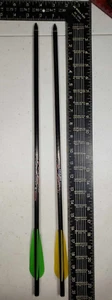 Excalibur FireBolt Carbon Arrows (2 Count) - Picture 1 of 4