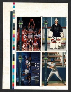 Manon Rheaume 1992 clásico (más 3) espectáculo de tarjetas del Super Bowl promoción panel de hojas de prensa - Imagen 1 de 3