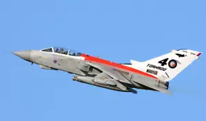 CÓDIGO 3 Panavia Tornado GR4 ZD788 098 40 Aniversario RAF Marham - Imagen 1 de 21